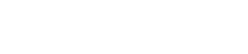 go connect: pocket wifi, eSim, simcard